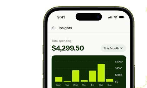 Pebbles FX insights screen